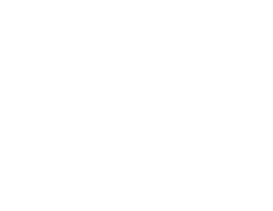 BPS Academy